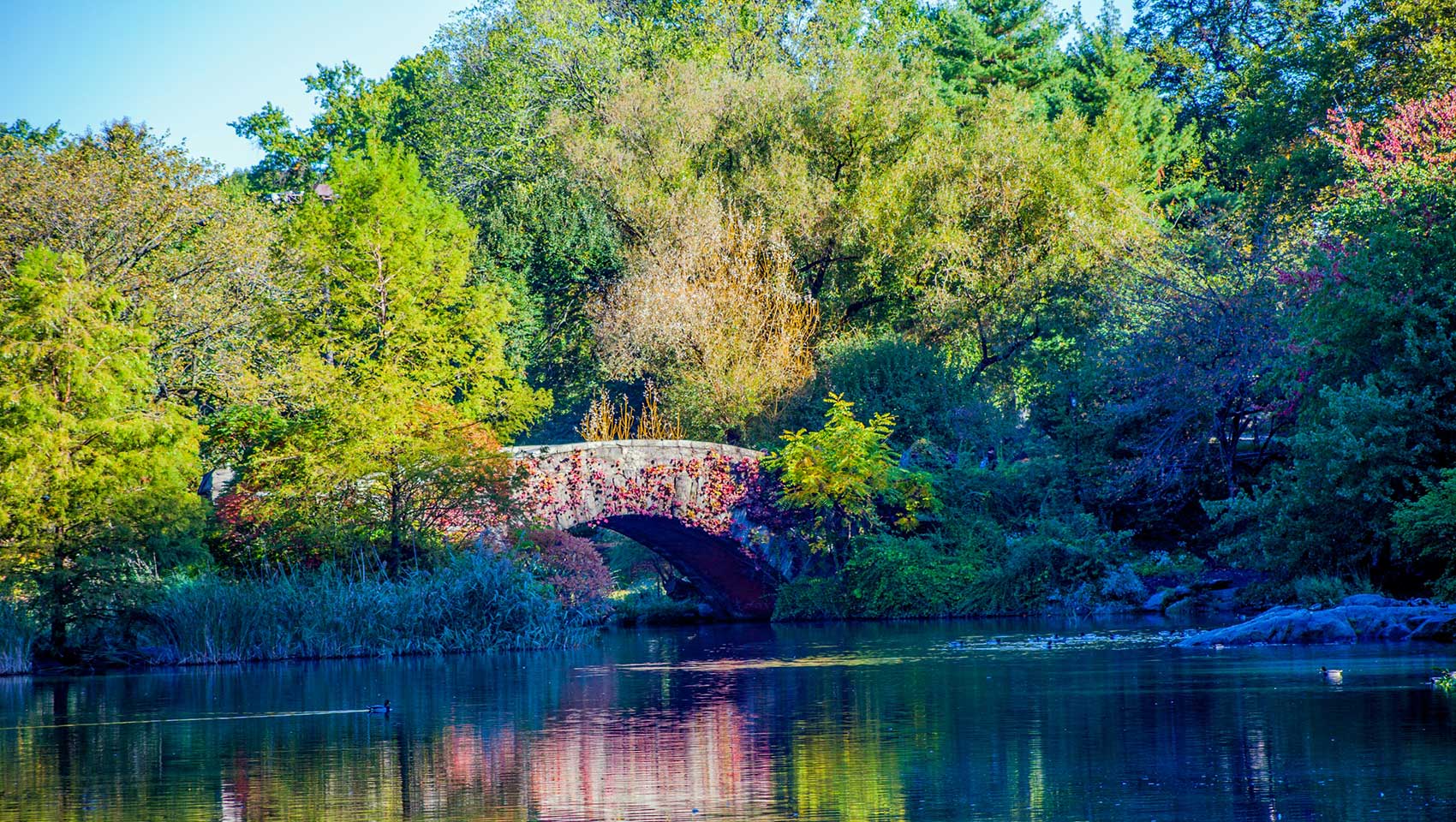 Stone bridge in Central Park