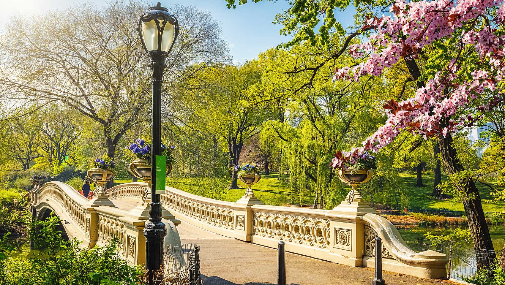 Stone bridge with beautiful scenery in Central Park